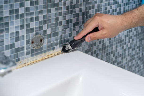 Best Best Mold Removal Companies  in Elverta, CA