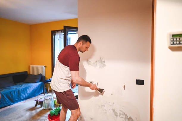 Best Emergency Mold Removal  in Elverta, CA